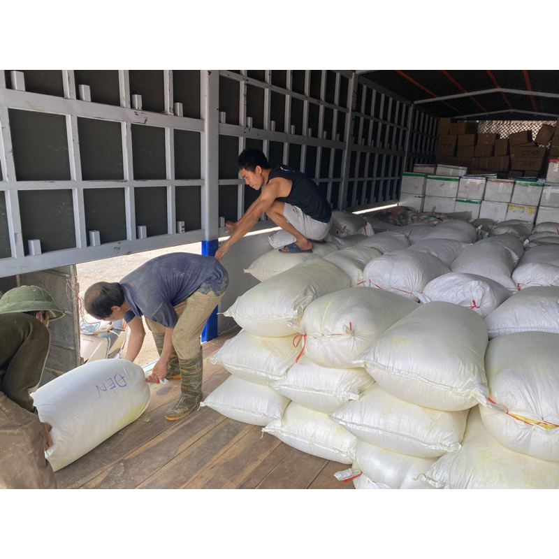 Tinh bột nghệ đen nguyên chất ladoga LADOGA đựng hộp 100 gam, 250gam và 500 gam
