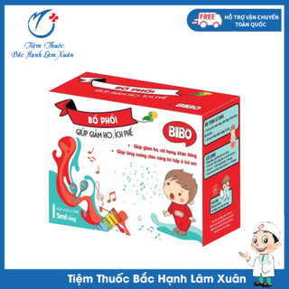 Bổ phổi bibo giúp giảm ho, ích phế, hộp 4 vỉ x 5 ống