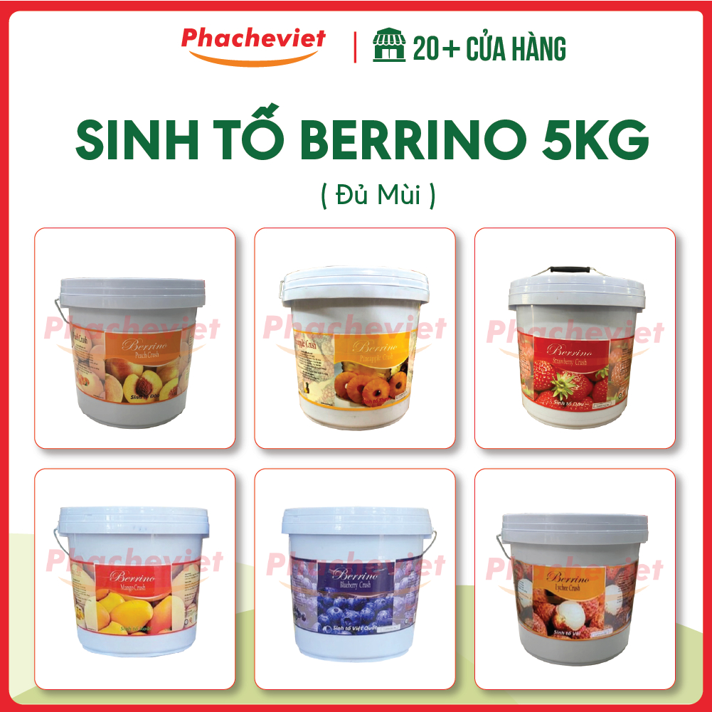 Sinh Tố Mứt Berrino 5Kg Đủ Vị