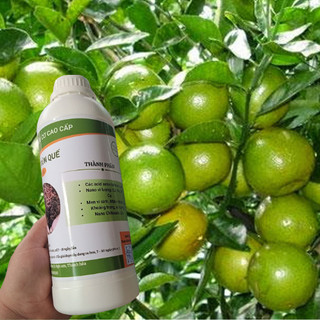 Phân trùn quế, dịch trùn quế, phân hữu cơ ( 1000 ml ) Loại đậm đặc