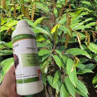 Phân trùn quế, dịch trùn quế, phân hữu cơ ( 1000 ml ) Loại đậm đặc