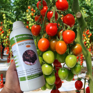 Phân trùn quế, dịch trùn quế, phân hữu cơ ( 1000 ml ) Loại đậm đặc