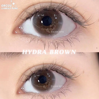 1 Cặp Lens kính áp tròng HYDRA BROWN - nâu lạnh trong veo không viền tự nhiên 14.2mm độ cận 0 - 7 độ ( kèm khay gương )