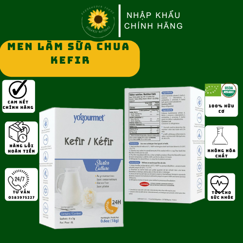 Men làm sữa chua Kefir - Vegan - Probiotic