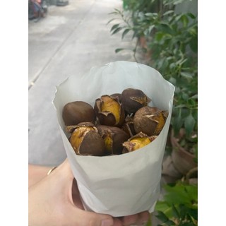 [ CHỈ GIAO HOẢ TỐC ] 1kg Hạt Dẻ Rang - Hấp Thơm Ngon
