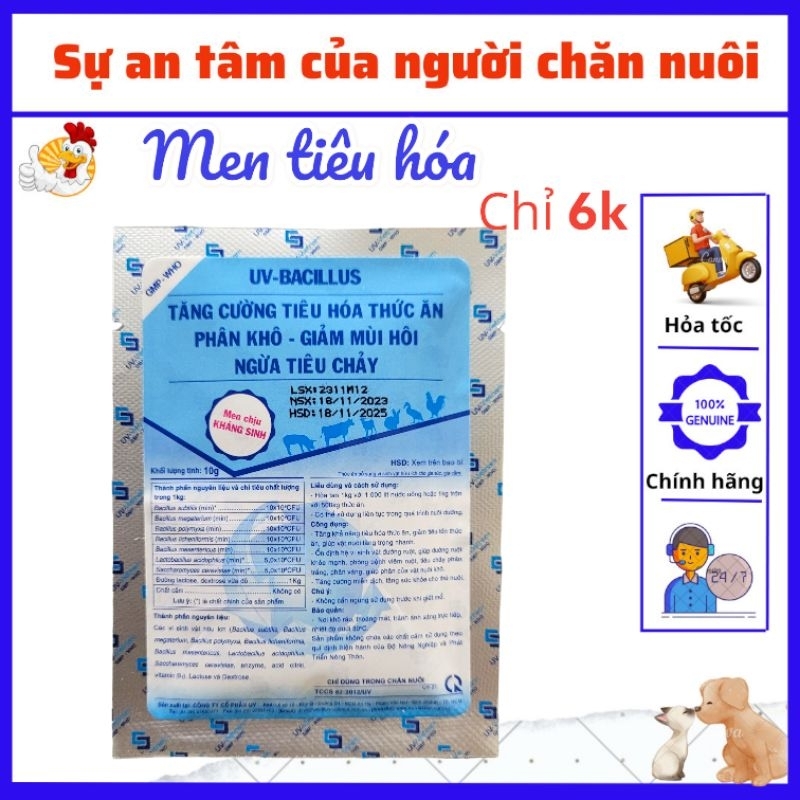 MEN TIÊU HÓA