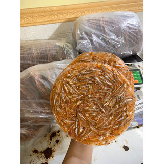 1kg bánh tráng cá cơm đẹp ngon - Đặc sản Sông Đốc Cà Mau
