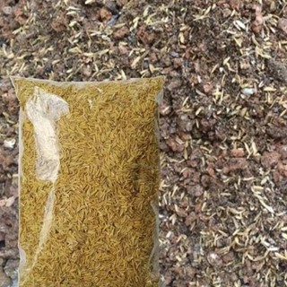 1kg Vỏ trấu khô