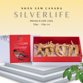 Nhân Sâm Canada SilverLife Nguyên Củ Premium | Nhân sâm Bắc Mỹ 5 tuổi loại to đặc biệt