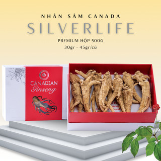 Nhân Sâm Canada SilverLife Nguyên Củ Premium | Nhân sâm Bắc Mỹ 5 tuổi loại to đặc biệt