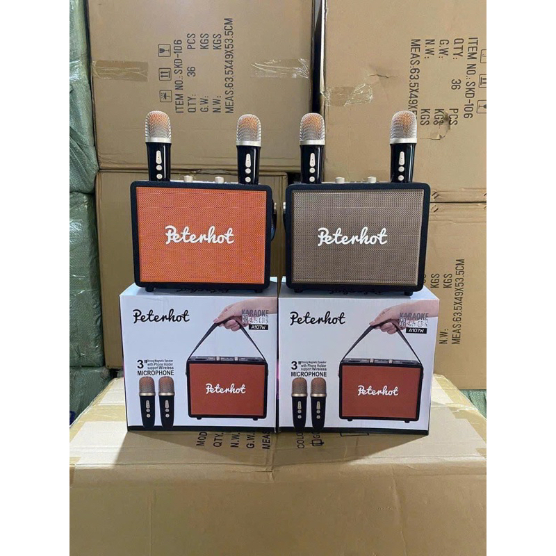 Loa Bluetooth Peterhot A107W Kèm 2 Micro Không Dây giá sỉ - giá bán buôn