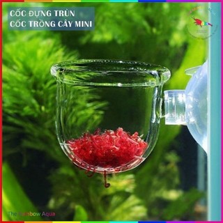 Cốc đựng trùn chỉ, cốc trồng cây mica mini