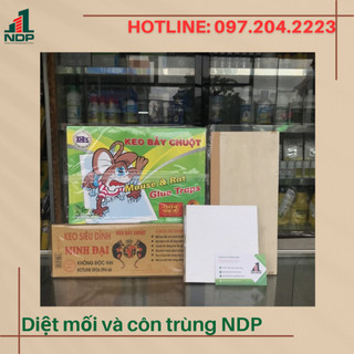 Keo dính chuột giấy, keo dính chuột hộp giấy