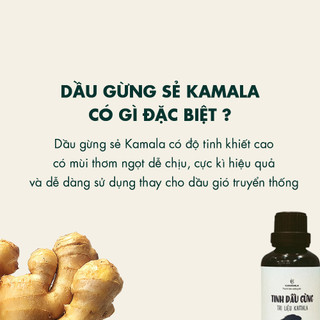 Dầu Gừng Kamamila Giảm Mỡ Bụng Dầu Massage Body Dưỡng Sinh Giảm Thâm Tan Mỡ - từ Gừng Tươi Tự Nhiên - Chai 30ml