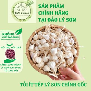 TỎI ÍT TÉP LÝ SƠN SUNI 1KG ( TỎI 3 TÉP ) BỊCH LƯỚI 1 KG - ĐẶC SẢN LÝ SƠN CHÍNH GỐC