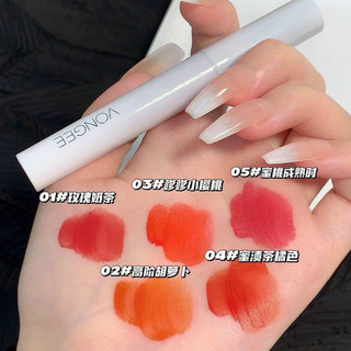 Set son 5 thỏi 5 màu vongee . Màu môi tự nhiên , mềm mại