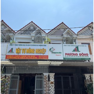 Hạt giống bí ngồi Hàn Quốc 2g