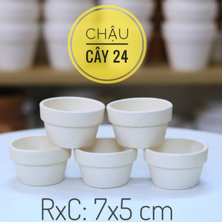 Chậu đất nung mini trồng sen đá, chậu trồng cây mini, xương rồng