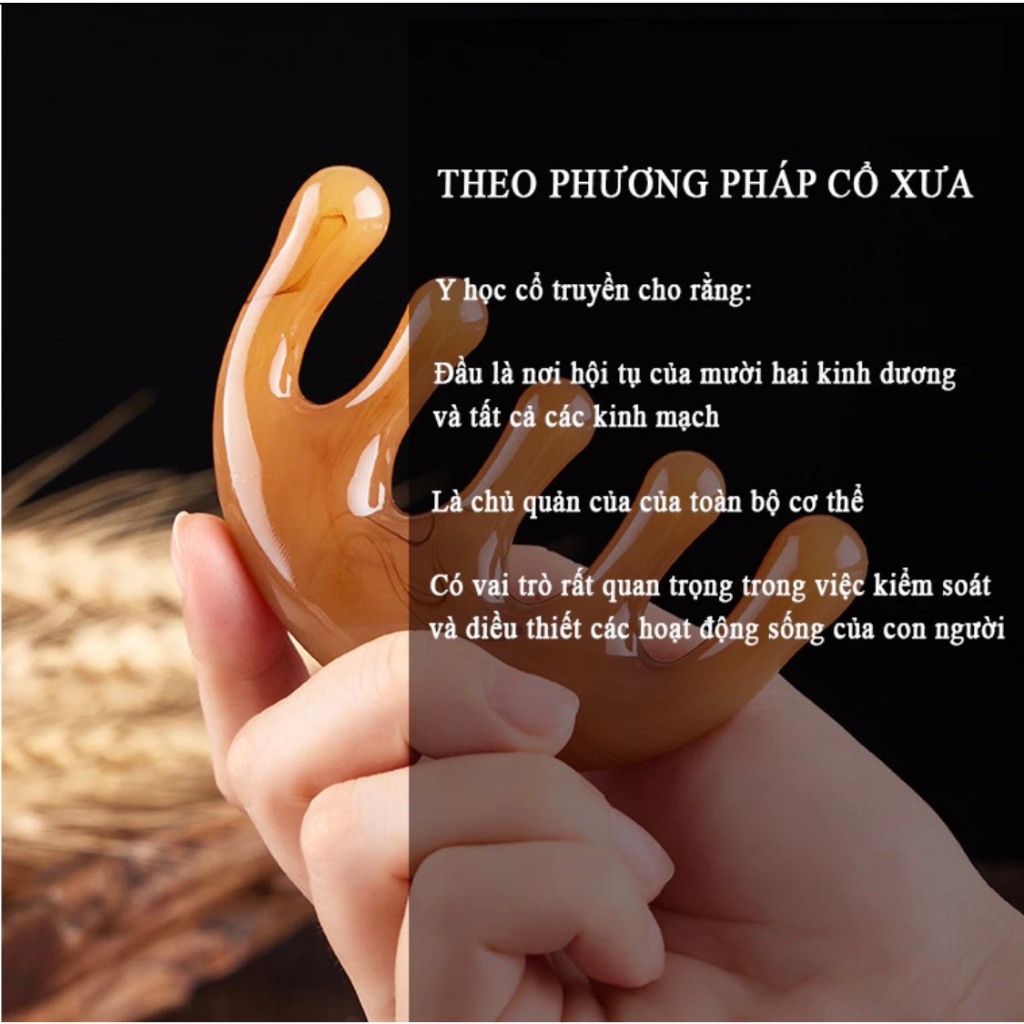 Lược Gỗ Đàn Hương Massage Da Đầu Lưu Thông Khí Huyết Và Tuần Hoàn Máu - Lược Gỗ Giúp Massage Da Đầu Cho Cả Nam Và Nữ
