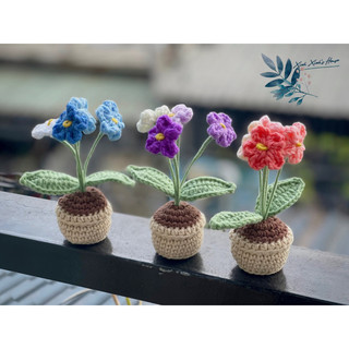 Chậu hoa lưu ly bằng len để bàn xinh xắn