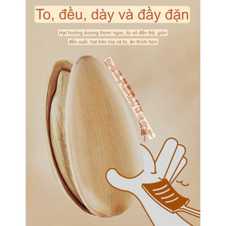 Hạt hướng dương tẩm vị