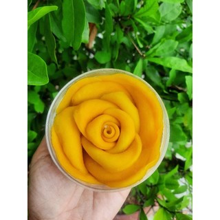 Combo 10 hộp xoài sấy dẻo 250gr