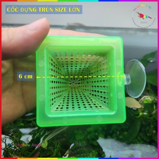Cốc đựng trùn, cốc đựng thức ăn cho cá