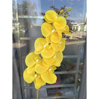 Cành hoa lan hồ điệp 9 bông 3D
