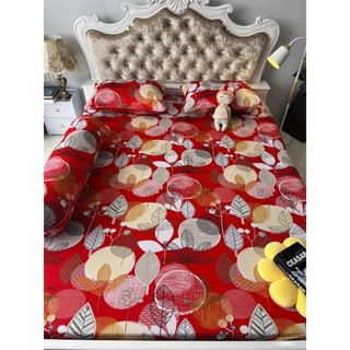 Drap thun hàn quốc chiếc lá đẹp sang mát