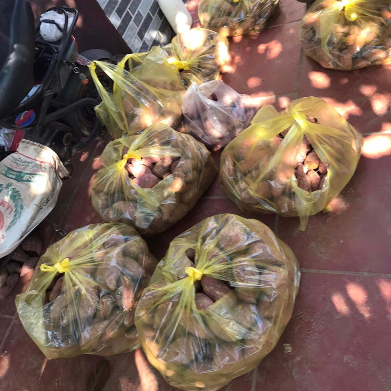 Khoai lang mật 1kg - Ship hoả tốc Hà Nội