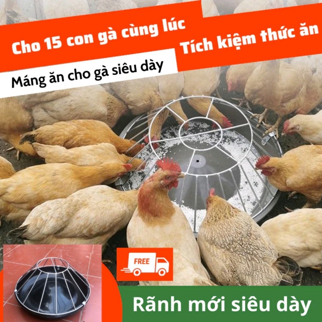 Máng ăn chống bới cho gia cầm ngan, gà , vịt , máng ăn tự động chống vãi cho gia cầm tiện lợi