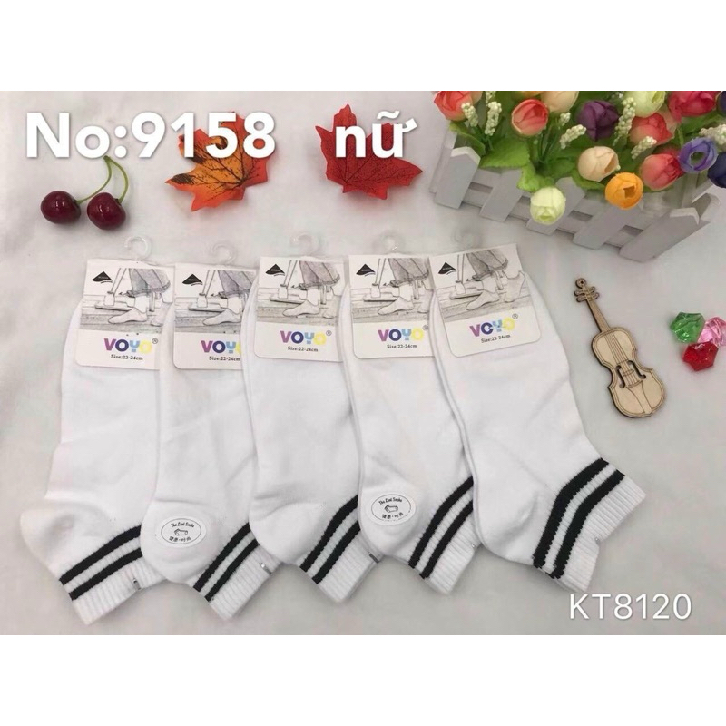 Vớ cotton loại ngắn của nữ mang giầy - tất nữ mang giầy .