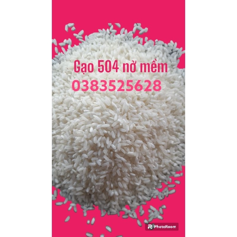 Gạo nở 504 - bao 5kg
