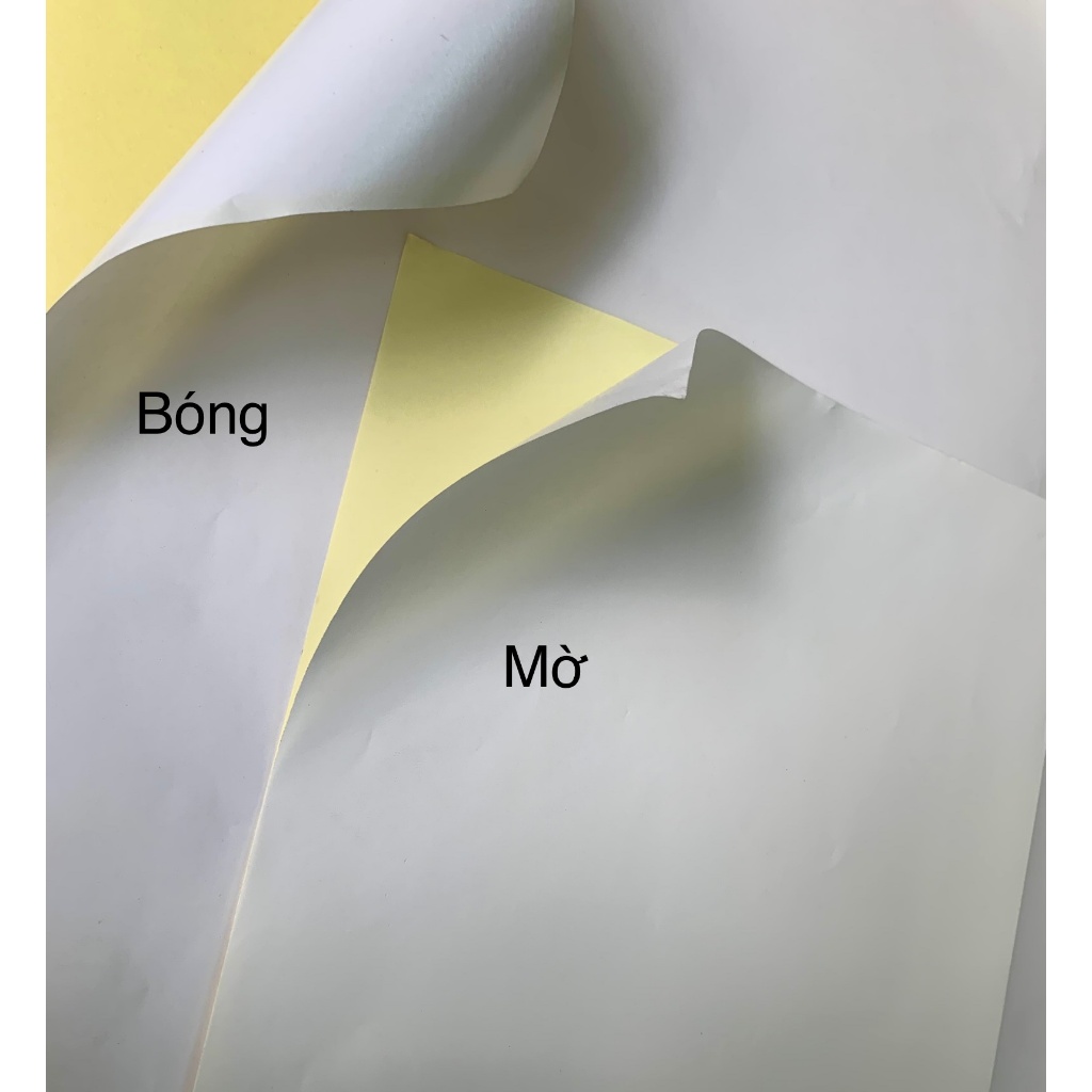 DECAL ĐẾ VÀNG KHỔ A3 / A4 -  DECAL BÓC DÁN