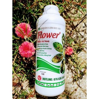 Flower kích bông - phân bón giúp cây ra hoa đều, mạnh hơn và đồng loạt chai 1l