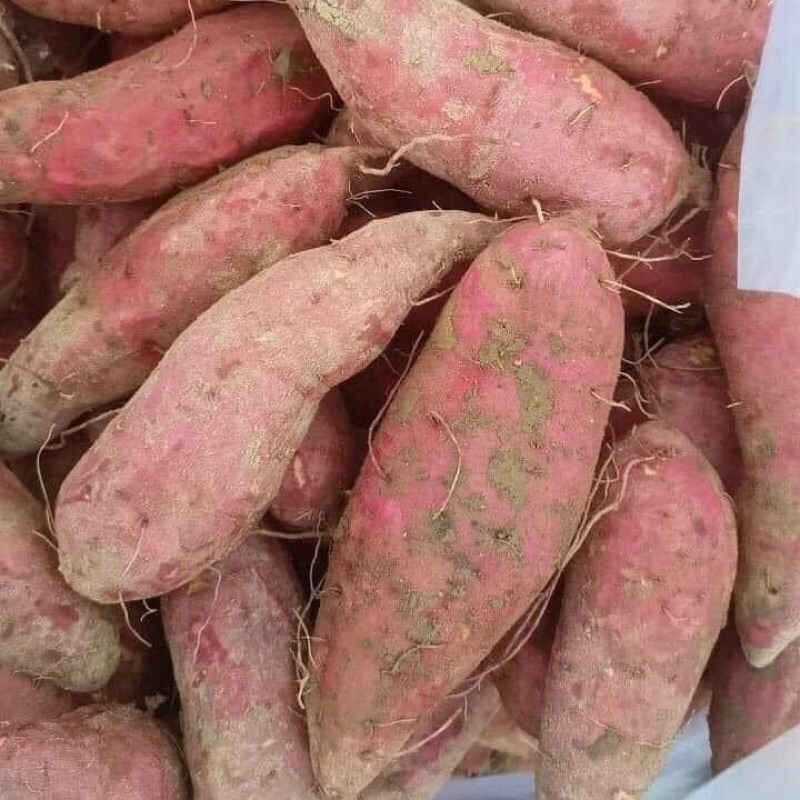 Khoai lang mật 1kg - Ship hoả tốc Hà Nội