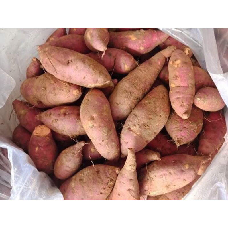 Khoai lang mật 1kg - Ship hoả tốc Hà Nội