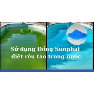 500g đồng sunfat, phèn xanh thủy sinh, cuso4 hàng đài loan xử lý nước, cắt rong rêu tảo hồ bơi ao nuôi, diệt nấm cá