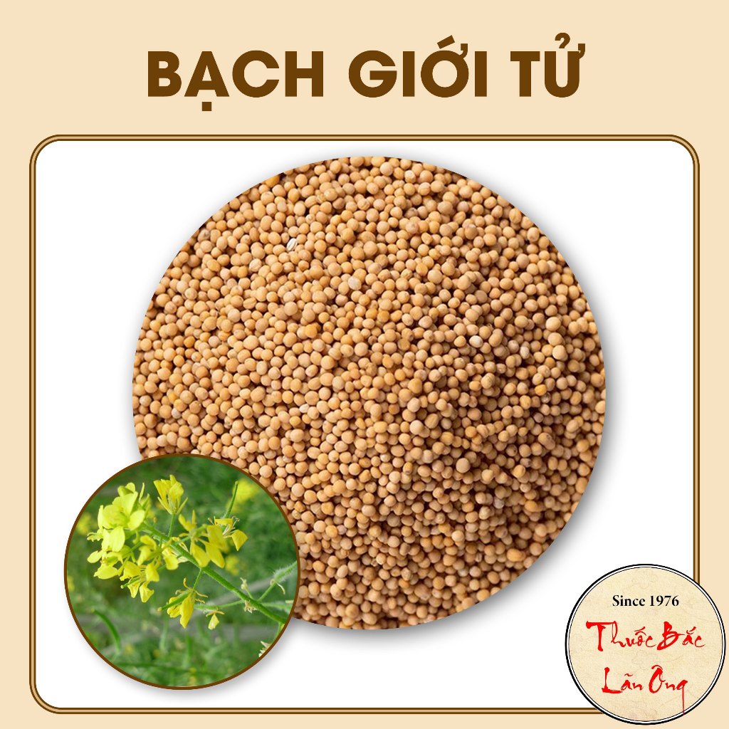 Bạch giới tử 1kg (Hạt cải trắng, bổ phế, long đờm)