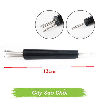 Cây sao chổi Diện Chẩn dò ba chấu
