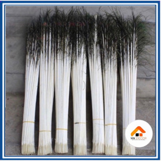 Bộ 50-100 lông công, chất liệu nổi làm phao câu cá , chân to dài từ 40-50cm