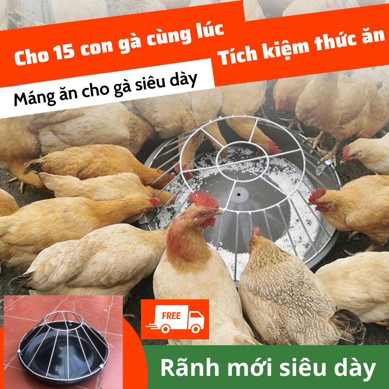 Máng gà ăn tự động - Loại cải tiến không bị bới như loại cũ - Tiện lợi kinh tế - Tiết kiệm thức ăn do không bị rơi vãi