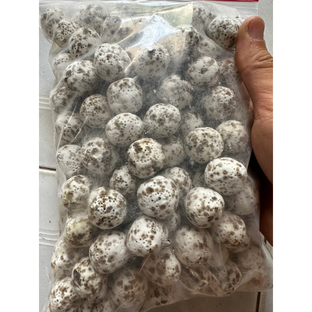 Vật liệu lọc nước hồ cá cảnh thủy sinh 1kg
