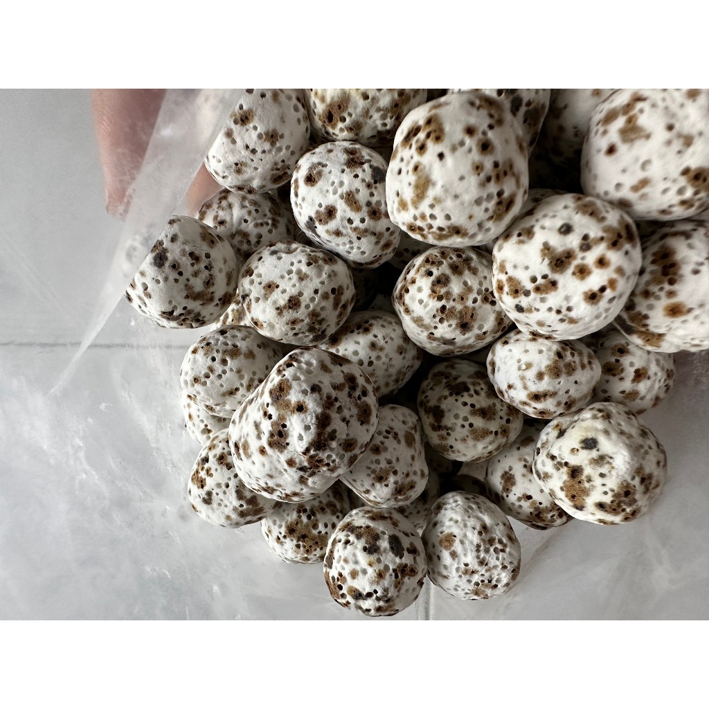 Vật liệu lọc nước hồ cá cảnh thủy sinh 1kg