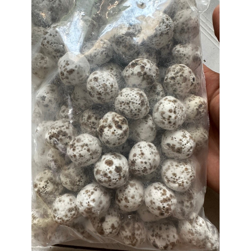 Vật liệu lọc nước hồ cá cảnh thủy sinh 1kg