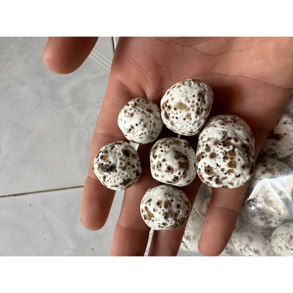Vật liệu lọc nước hồ cá cảnh thủy sinh 1kg