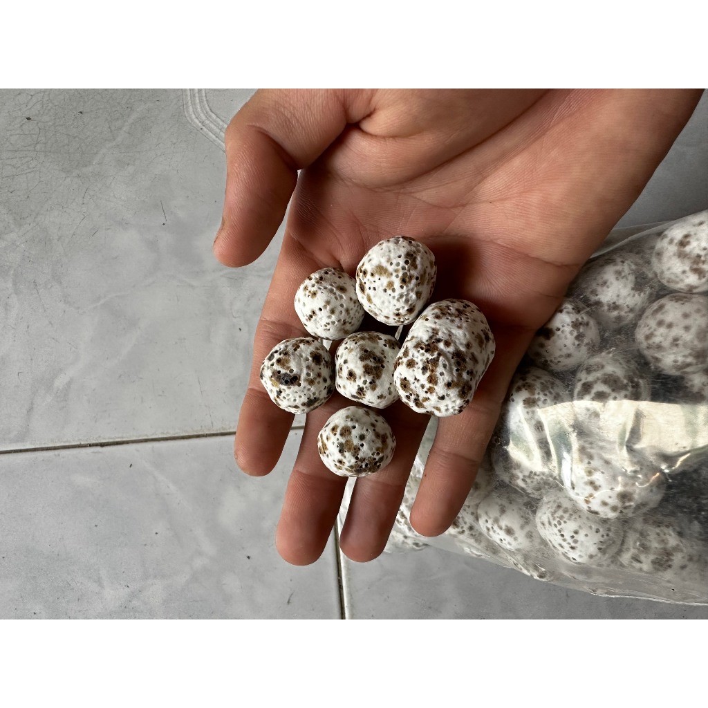 Vật liệu lọc nước hồ cá cảnh thủy sinh 1kg