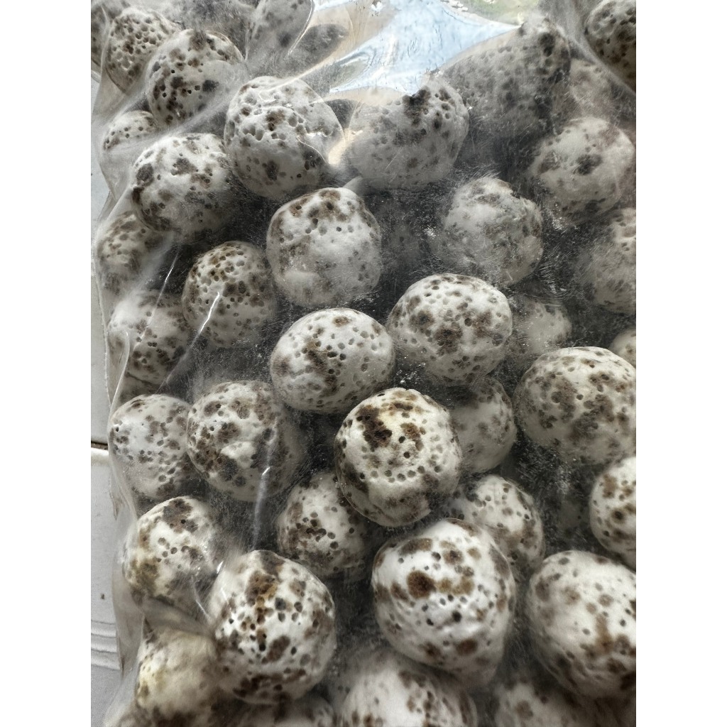 Vật liệu lọc nước hồ cá cảnh thủy sinh 1kg