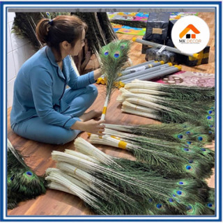 Lông công phong thủy tài lộc, trang trí nhà cửa , dài 70-80cm, Mắt to 4-6cm, nhập khẩu Ấn Độ