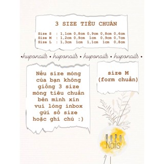 NAILBOX/ Móng chân up
